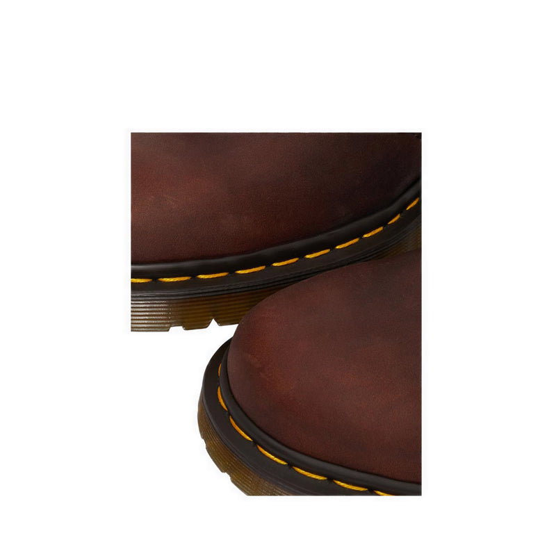 2976 CHESTNUT BROWN